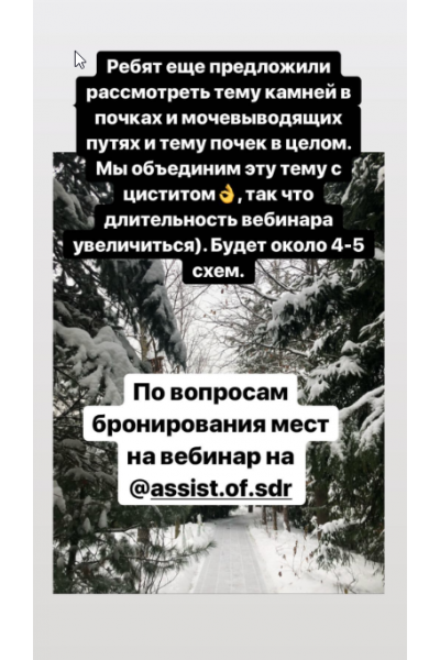 Вебинар Цистит, Почки, Камни в почках. Елена Корнилова