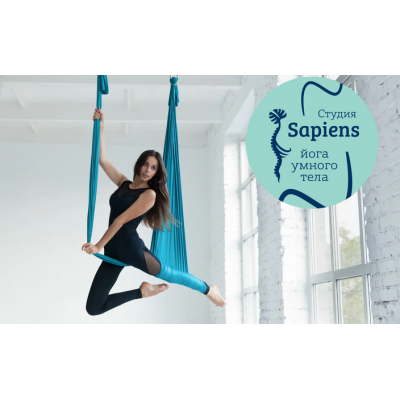 Йога в полете. Валерия Горожанина, Александра Ильченко, Йога умного тела Sapiens