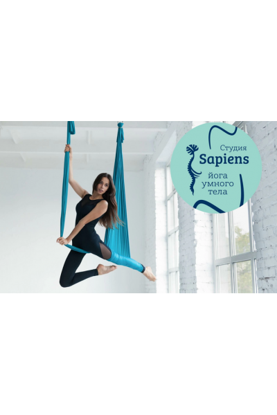 Йога в полете. Валерия Горожанина, Александра Ильченко, Йога умного тела Sapiens