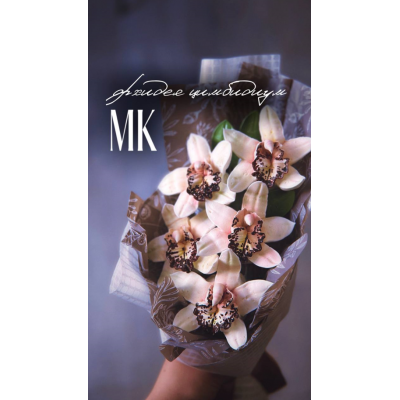 Орхидея Цимбидиум. Анастасия Птица Zephflora