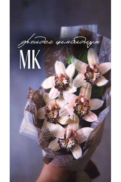 Орхидея Цимбидиум. Анастасия Птица Zephflora