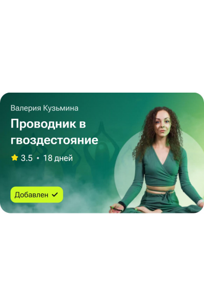 Проводник в гвоздесояние. Валерия Кузьмина