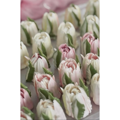 Тюльпаны. Обновление курса 2025 Мирослава Садовая zefir.mira