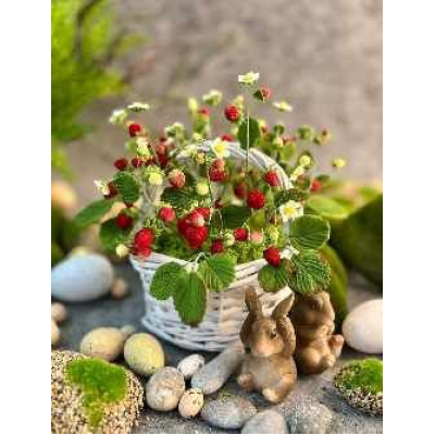 Пасхальные фигурки из мастики. Николай Гагарин, Артем Валентинов Gift Cookies