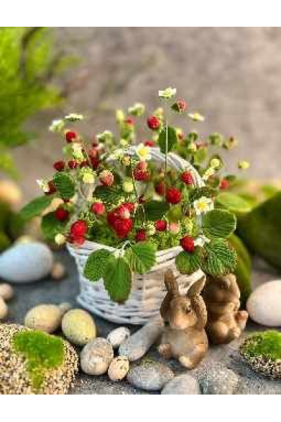 Пасхальные фигурки из мастики. Николай Гагарин, Артем Валентинов Gift Cookies