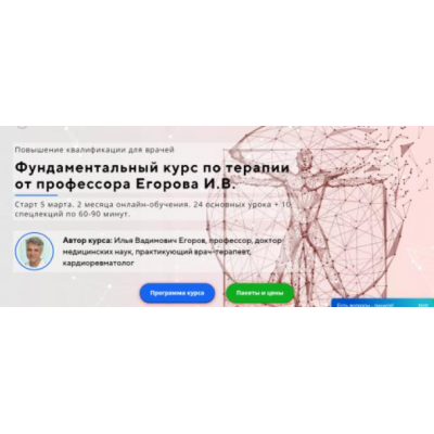 Фундаментальный курс по терапии. Полный курс. Илья Егоров