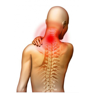 Шея: биомеханика и коррекция распространенных патологий. Холка, вдовий горб. Протракция, голова вперед. Неспецифические боли. Александр Волоткевич Шея: биомеханика и коррекция распространенных патологий. Холка, вдовий горб. Протракция, голова вперед. Неспецифические боли. Александр Волоткевич