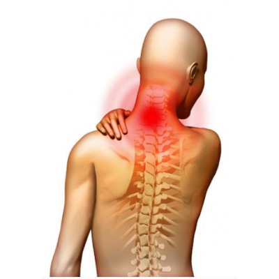 Шея: биомеханика и коррекция распространенных патологий. Холка, вдовий горб. Протракция, голова вперед. Неспецифические боли. Александр Волоткевич