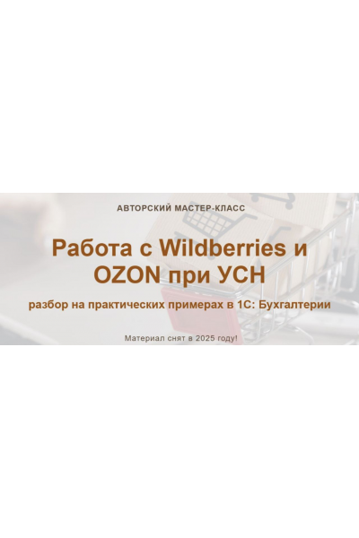 Работа с Wildberries и OZON при УСН 2025 Тариф: Видео без обратной связи. Алина Календжан