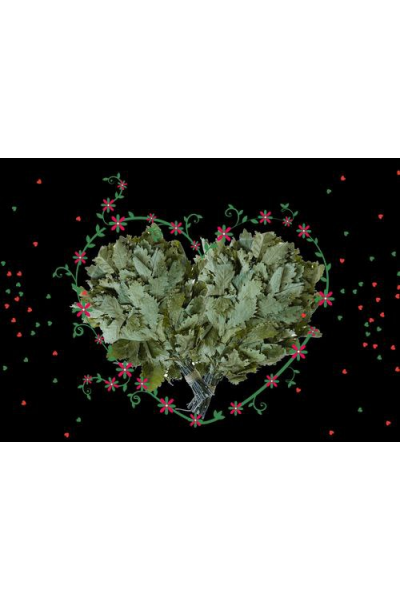 Романтическое свидание в бане. Мастерская легкого пара