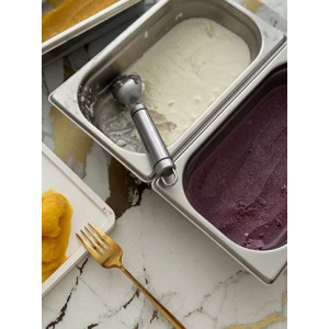 Проект Ice Box. Сливочные пломбиры 40 вкусов +альтернативное мороженое 2024 Анастасия Чекмарева, Дмитрий Чекмарев Tortomania