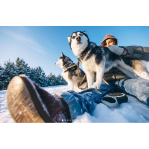 Univer 8. Тариф Бизнес. Максим Добрый Univer 8. Тариф Бизнес. Максим Добрый