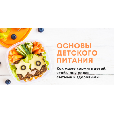 Основы детского питания. Пакет Lite. Анна Бойко