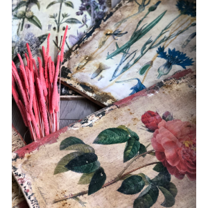 Онлайн мастер-класс по вживлению изображения. Наталья Рудовская, Анастасия Павлова Dom.rudecor