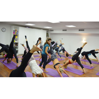 Принципы Движения + Пилатес Polestar Pilates Mat 1-3. Три модуля, Polestar Pilates Russia