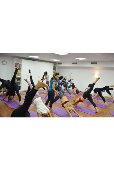 Принципы Движения + Пилатес Polestar Pilates Mat 1-3. Три модуля, Polestar Pilates Russia