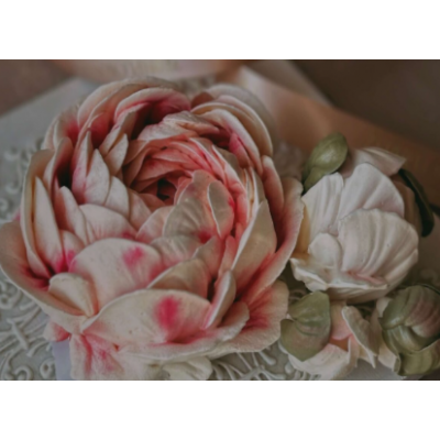 Пионы со вкусом из зефира,.Zephflora