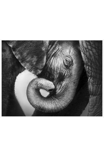 Интегральный подход психологической работы с травмой развития. Полный курс. Анастасия Дивеева, Андрей Евдокимов, Высшая школа психологии