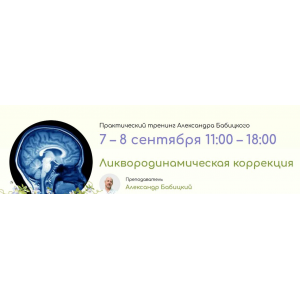 Ликвородинамическая коррекция. Очный семинар 2023. Александр Бабицкий, Школа здоровья Веста