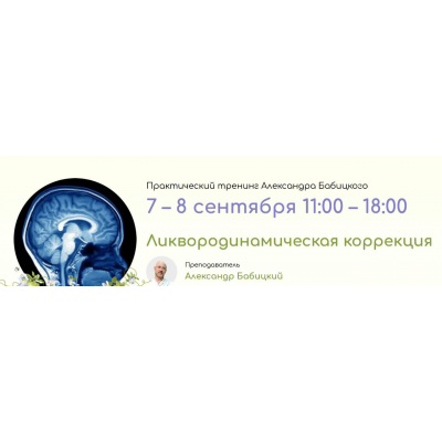Ликвородинамическая коррекция. Очный семинар 2023. Александр Бабицкий, Школа здоровья Веста