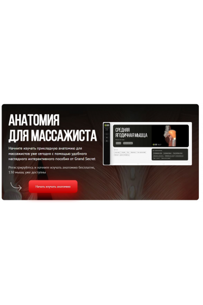Анатомия для массажиста. Максим Волков, Grand Secret