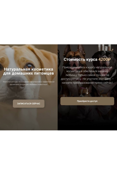 Натуральная косметика для домашних питомцев. Елена Золотухина