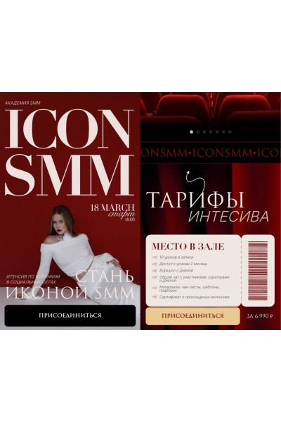 Icon smm. Интенсив по воронкам в социальных сетях. Тариф Место в зале. Диана Карачева