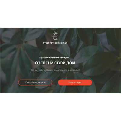 Озелени свой дом. Тариф Мне только посмотреть. Натали Серова