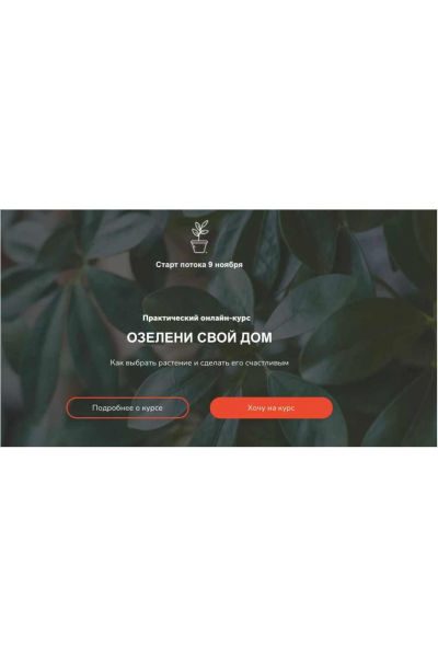 Озелени свой дом. Тариф Мне только посмотреть. Натали Серова