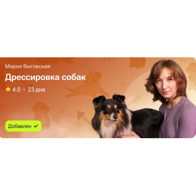 Дрессировка собак. Мария Выговская