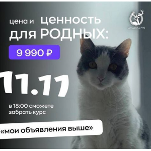 Мои объявления выше. Владимир Шамо