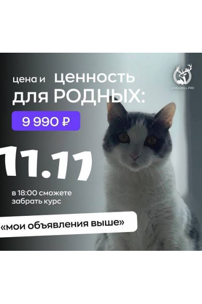 Мои объявления выше. Владимир Шамо