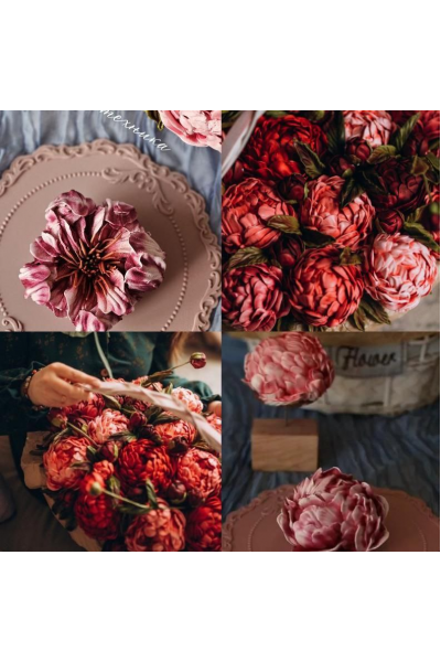 Закрытый клуб. Май 2025. Анна Тверитнева, astra.zefir