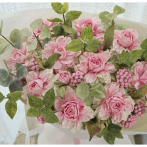 Новый сорт Розы. Мирослава Садовая, Zefir.Mira