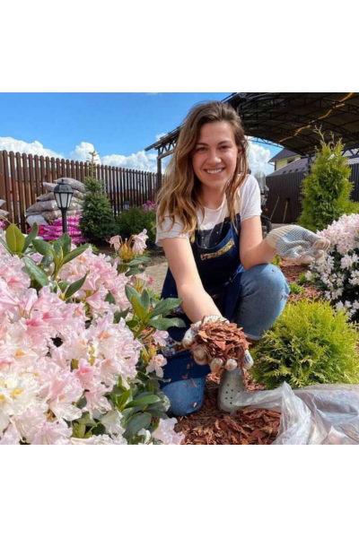 Цветник на солнце. Кристианна Виниченко