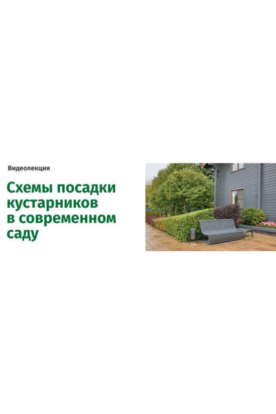 Схемы посадки кустарников в современном саду. Наталья Мягкова