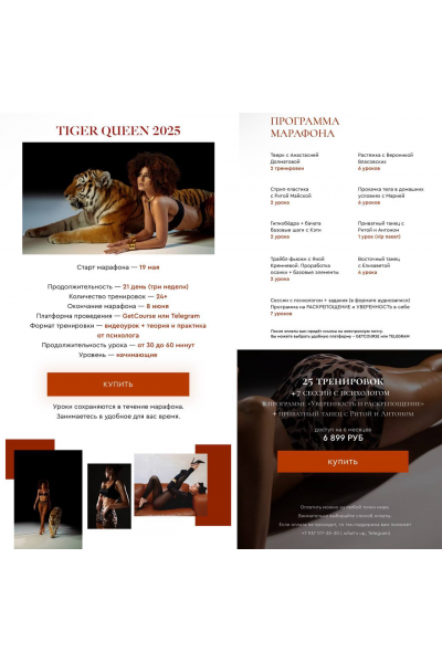 Tiger Queen 2025. sensemedance