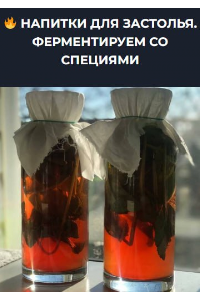 Напитки для застолья. Ферментируем со специями. Вероника Порсина