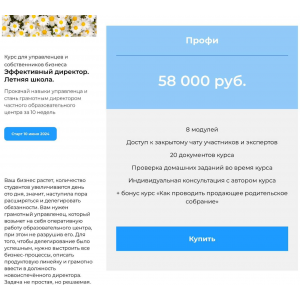 Эффективный директор. Тариф Стандарт. Наталья Батиг