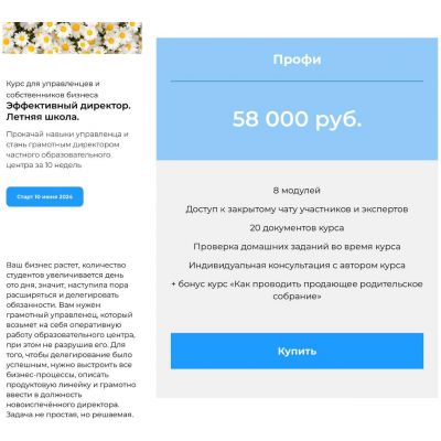 Эффективный директор. Тариф Стандарт. Наталья Батиг