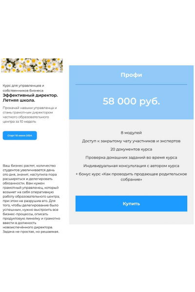 Эффективный директор. Тариф Стандарт. Наталья Батиг