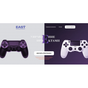 Управление проектами. Ксения Домбровская, EASY managment