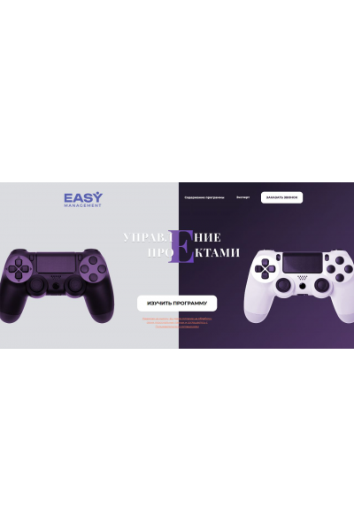 Управление проектами. Ксения Домбровская, EASY managment