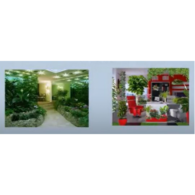 Фитодизайн в интерьере, Prodecoring