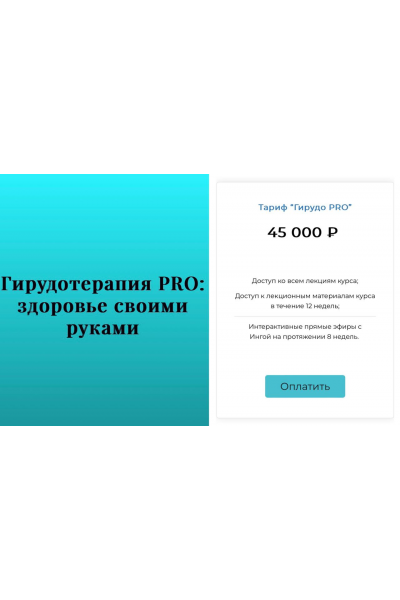 Гирудотерапия PRO: здоровье своими руками. Инга Дубинина