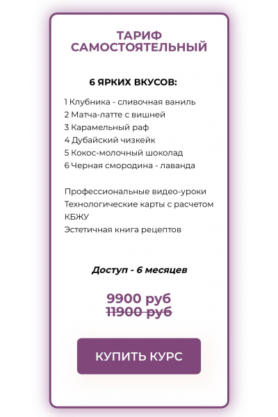 Vegan cheesecake. Онлайн курс Чизкейки. Тариф Самостоятельный. Сабина Ананиади, Алина Литвинова