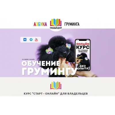 Обучение грумингу. Старт-онлайн. Тариф для дома. Дарья Казимова, Азбука Груминга