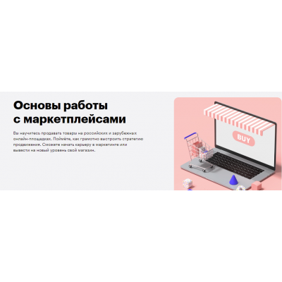 Основы работы с маркетплейсами. Алина Гончаренко, Александр Чайка