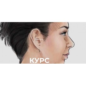 Анатомия лица и шеи. Самомассаж для поддержания красоты и здоровья. Лана Ши