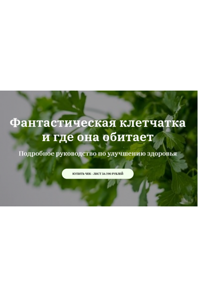 Фантастическая клетчатка. Катерина Сиротова